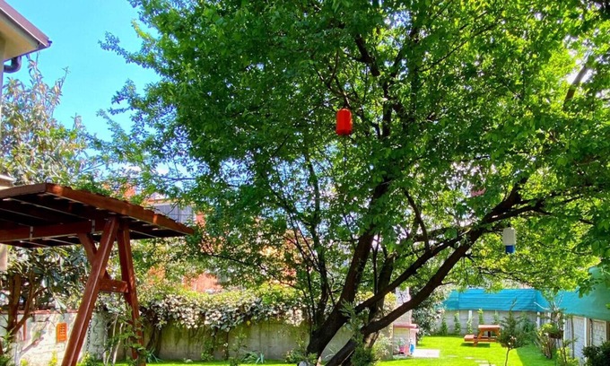 Sapanca Appartement | Cozy Flat with Backyard and Fireplace in Sapanca