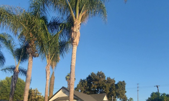 Harbor Maison | Cozy guest house, 3min to LB Memorial Medical Center!