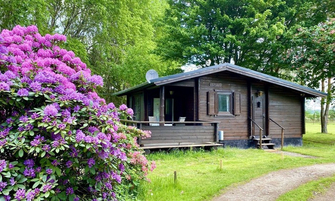 Eschede Maison | Cozy holiday home on a horse farm in the Lüneburg Heath