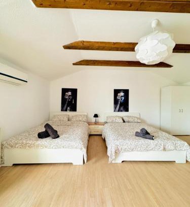 Wittau Appartement | Cozy Rooms in a Villa for Groups, 16-Mins to Blumengärten