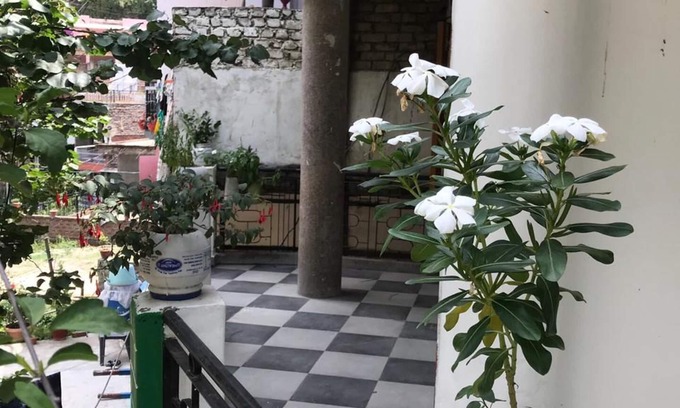Deoghat Appartement | Cozy Solan Apartment With Stunning Views