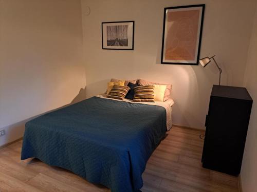 Aluksne Appartement | Cozy Studio - 5 min to Lake & City