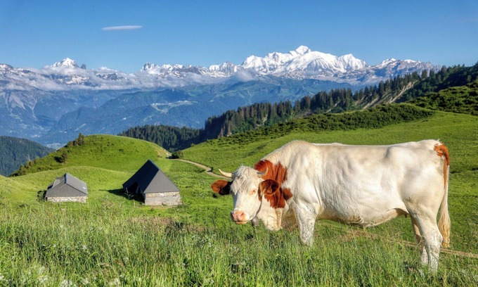 Le Praz de Lys Appartement | ⛰🌱 Studio cosy au Praz-de-Lys – Vue Mont-Blanc et piscine privée 🌞