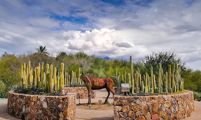 Tucson Hôtel | Cozy Suite Retreat! 2 Modern Pet Friendly Units, Near Park Place Mall!