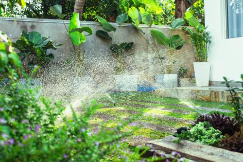 Anuradhapura Lit Et Petit-Déjeuner | Cozy Vacation Home
