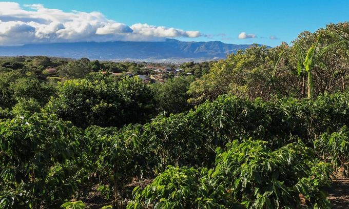 Santa Barbara de Heredia Maison | 2 Bedroom, 2 Bath Office, Open Floor Plan on beautiful coffee farm