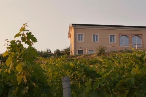 Cardona Maison | Crealto