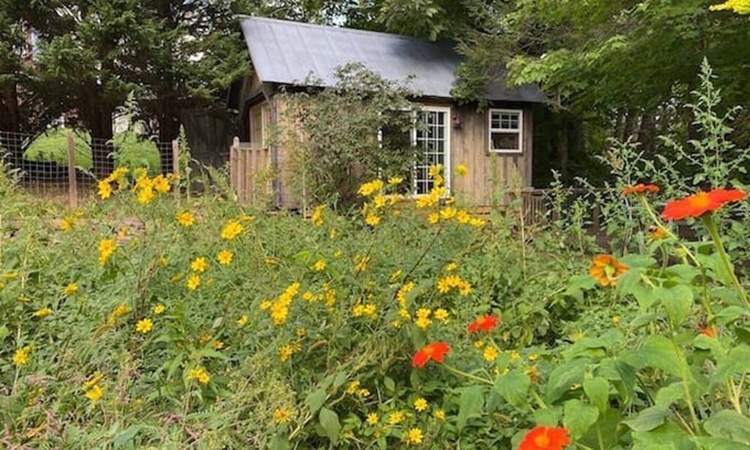 Court House Cabine | Creek View Cabin at Skipwillow Farm