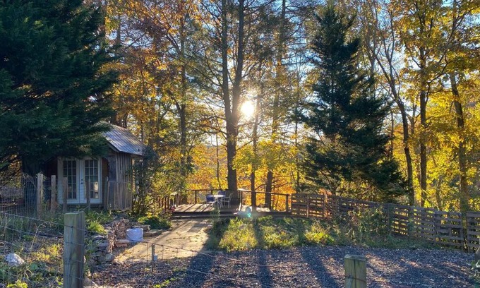 Court House Maison | Creek View Cabin at Skipwillow Farm - Floyd, VA