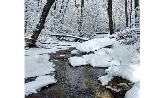 Beech Mountain Maison | Creekside 2min to slopes..quiet & private location