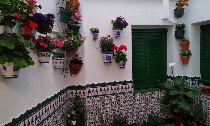 Almagro Copropriété | CULTURES AND COLORS IN ALMAGRO WIFI and private parking. Promotion to Companies