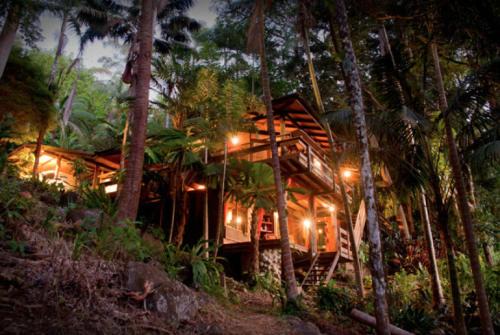 Currumbin Valley Maison | Currumbin Rainforest Treehouse