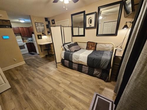 Tallahassee Appartement | Cute Comfy Studio Prime Location
