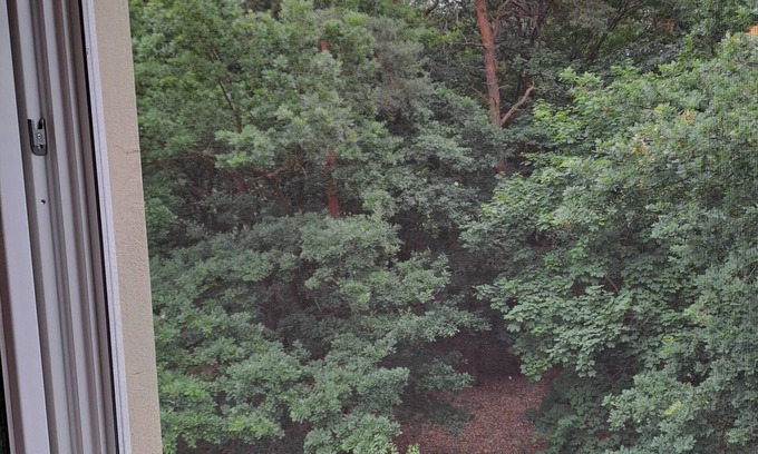 Bielefeld Appartement | Cute vacation apartment on the edge of the forest