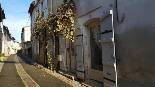 Terraube Appartement | D'Artagnan