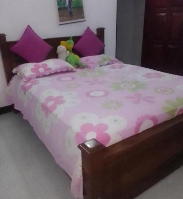 Seeduwa - Katunayake Maison | D Villa 1