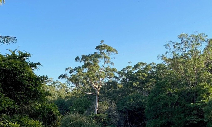 Maleny Cabine | Dads Art Studio
