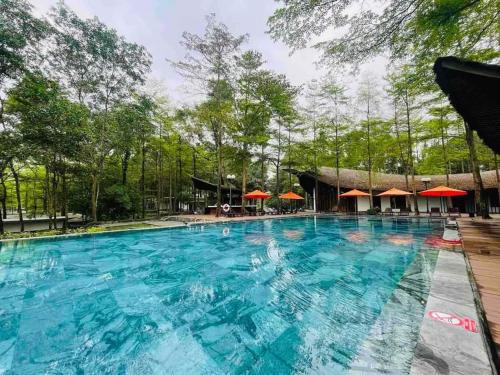 Ngoc Quang Maison | Dai Lai Resort- Forest Villa