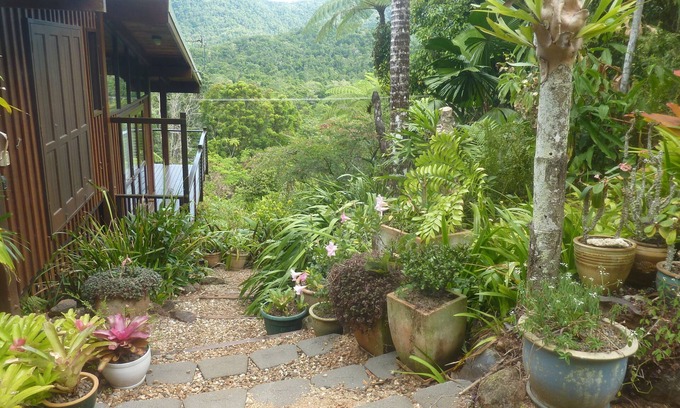 Diwan Maison | Daintree Holiday Homes - The Folly - Une retraite nature dans le Daintree