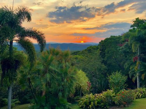 Forest Creek Lit Et Petit-Déjeuner | Daintree Manor B&B