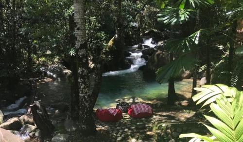 Diwan Maison | Daintree Secrets Rainforest Sanctuary