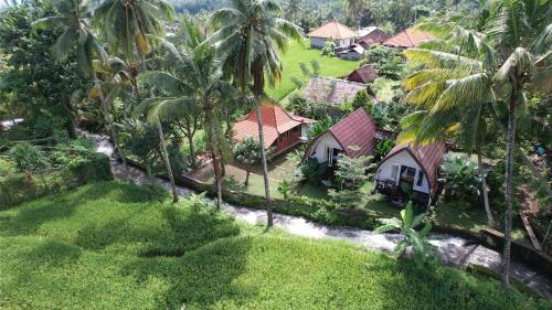 Sukasada Maison | Damuh Pertivi, River and Rice Fields View