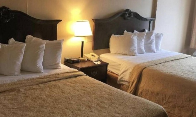 Danville Hôtel | Danville Suite