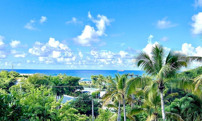 South Coast Appartement | Darling Palms Tree House: Beachside Studio Oasis