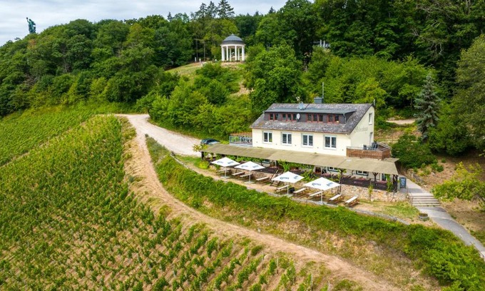 Mainz-Bingen Appartement | das Rebenhaus
