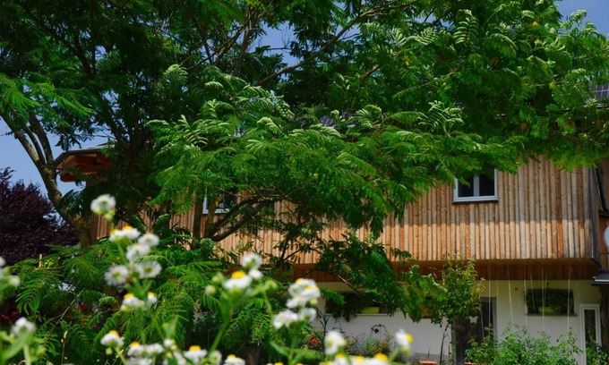 Finkenstein am Faaker See Appartement | das stille Paradies