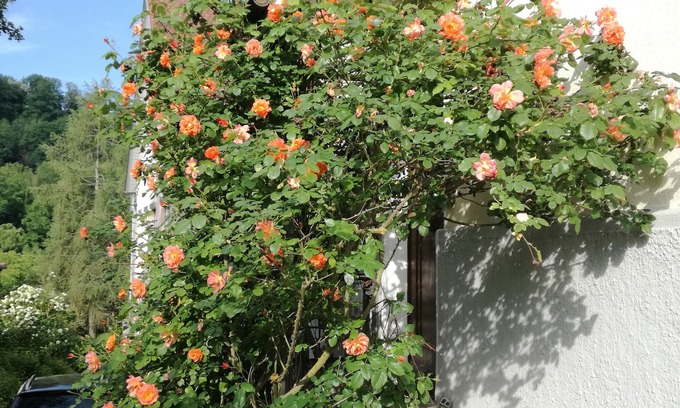 Schwaebisch Hall Appartement | Rez de jardin dans villa Art Nouveau