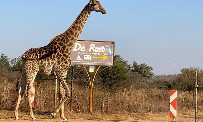 Hammanskraal Cabine | De Rust Campsite