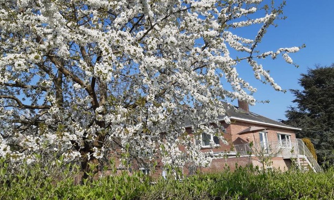 Vliermaal Appartement | De tuin van Agatha