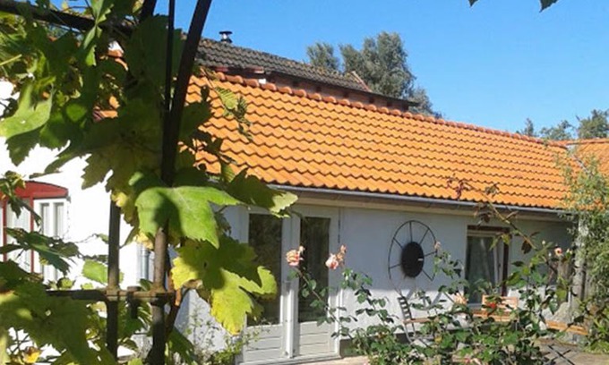 De Cocksdorp Appartement | De Vrijheid-Melkstal