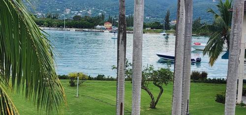 Montego Bay Appartement | Dejai On The Bay