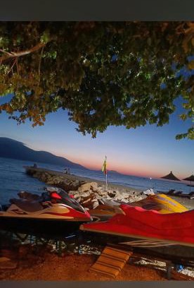 Radhime Location De Bateaux | Dejvi Jet Ski