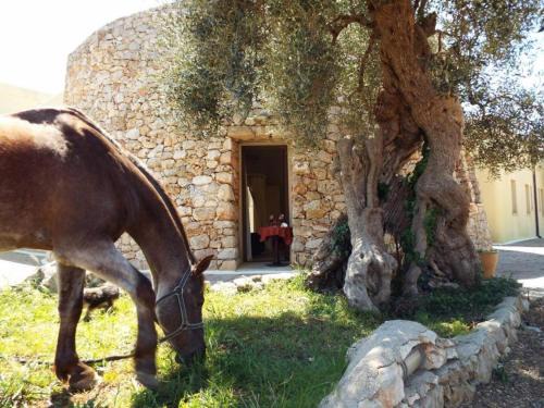 Morciano di Leuca Hôtel | Delle Rose Horses Club