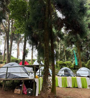 Turuk Hôtel | Delo pine nest campsite