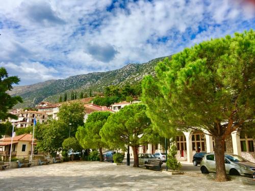Delfoi Appartement | Delphi celebrity v i p the navel of the Earth, CENTER-DELPHI-penthouse galaxy&sky panoramic view, harmony&YOGA
