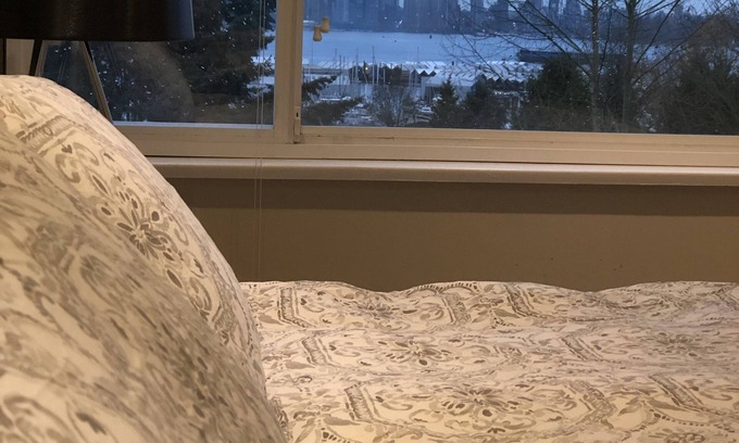 Lower Lonsdale Copropriété | Deluxe view condo in the Lolo district !!
