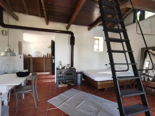 Arnaia Maison | Dendrocopos Medius