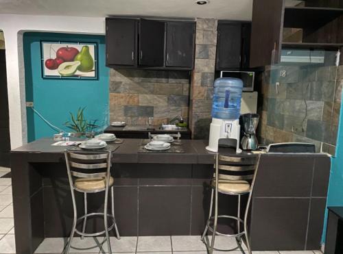 Cholula Appartement | Departamento con terraza verde