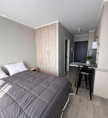 Pitrufquen Appartement | Departamento Estudio, Pitrufquén