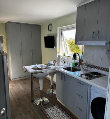 Osorno Appartement | Departamento Studio 104 Full