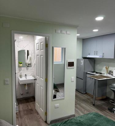 Osorno Appartement | Departamento Studio Full 109
