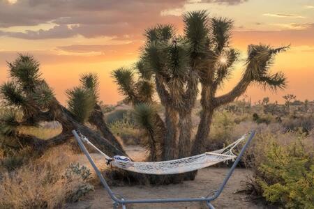 Yucca Valley Maison | Desert Diamond- Joshua Tree Cowboy Pool and Spa