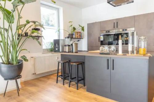 Nienburg/Weser Appartement | Design Apartment im Zentrum von Nienburg!