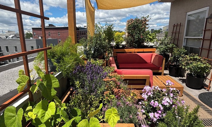 Historic Downtown Appartement | Designer Loft with Private Terrace
