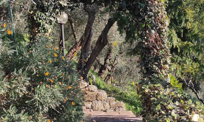 Leivi Maison | Detached cottage surrounded by greenery just minutes from the sea.