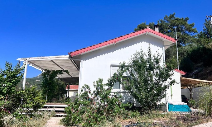 Olympos Maison | Detached house surrounded by fruit trees, very close to Olympos and Çıralı